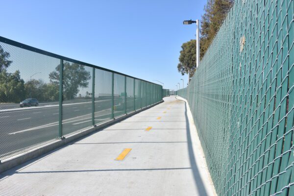 CSF 02987 00 N39 medium