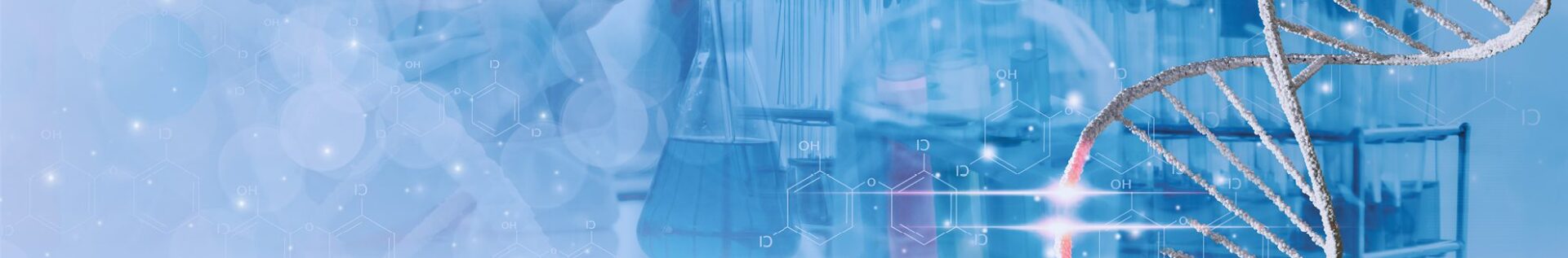 Environment of Care Standards part 2 header