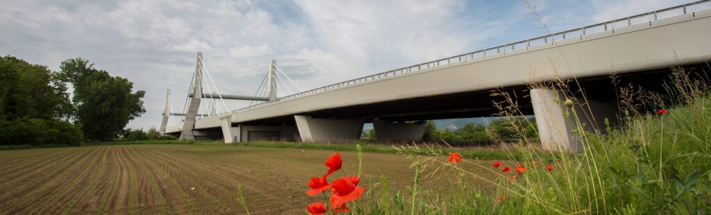 Placeholder Project Image