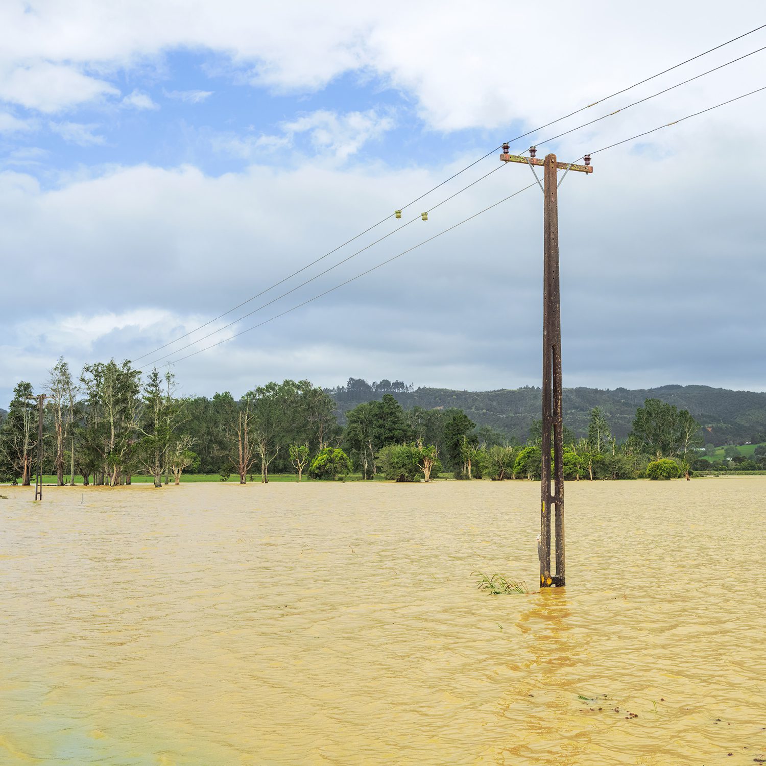 Weathering the Storms Part 2: Leveraging Public Funding for Utility Resiliency